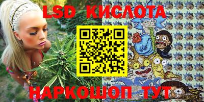 гидра Гусев