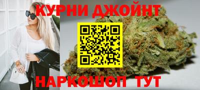 гидра Гусев